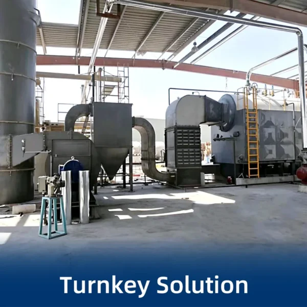 Steam Boiler, DZL, 1-20 - view 5