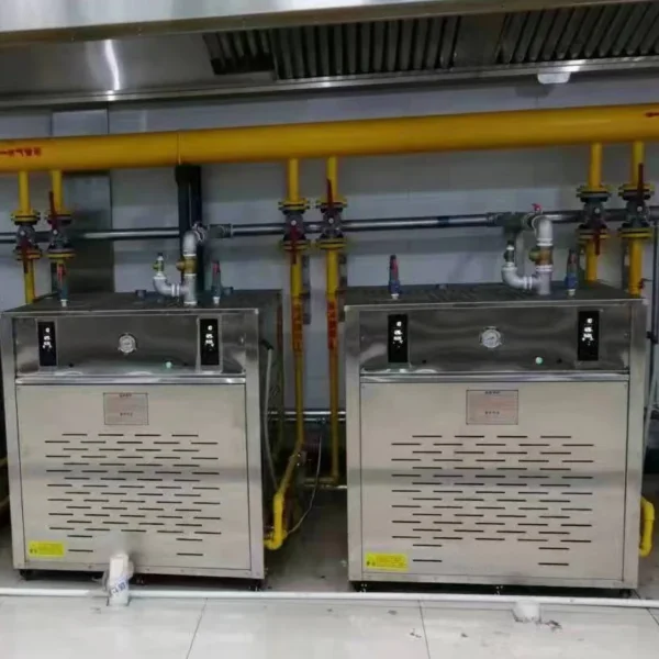 Steam Boiler, LPG, Natural Circulation - view 6