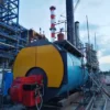 Steam Boiler, Natural Circulation - view 6