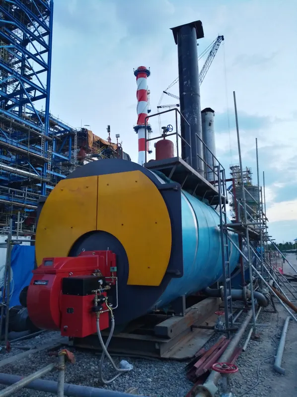 Steam Boiler, Natural Circulation - view 6