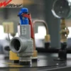 Steam Boiler, Portable, 0.1-0.5 - view 2