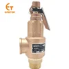 Steam Boiler, S10L, Copper, DN15, DN20