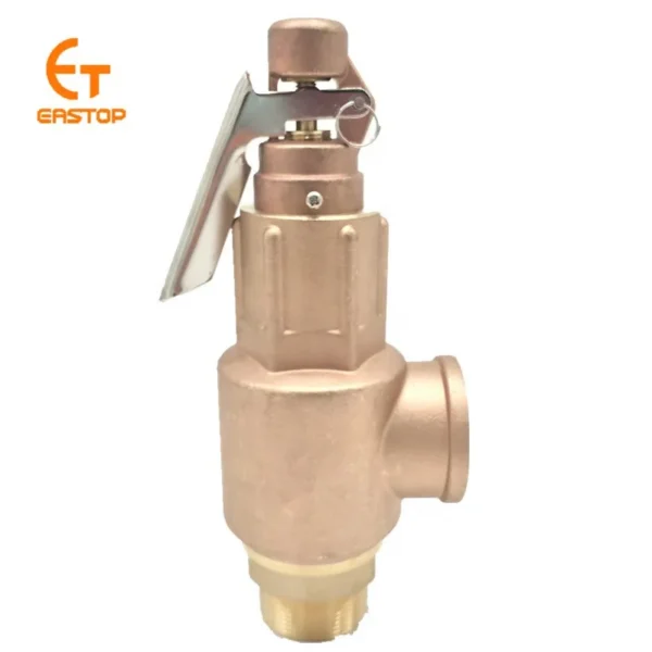 Steam Boiler, S10L, Copper, DN15, DN20 - view 4