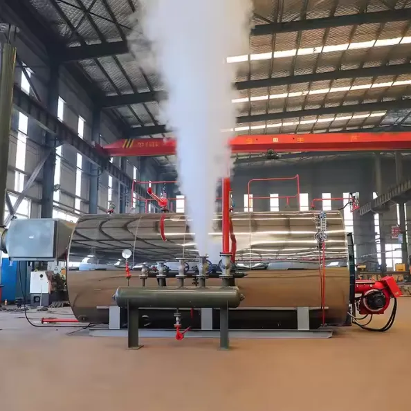 Steam Boiler, Stainless Steel, Natural Circulation - view 6