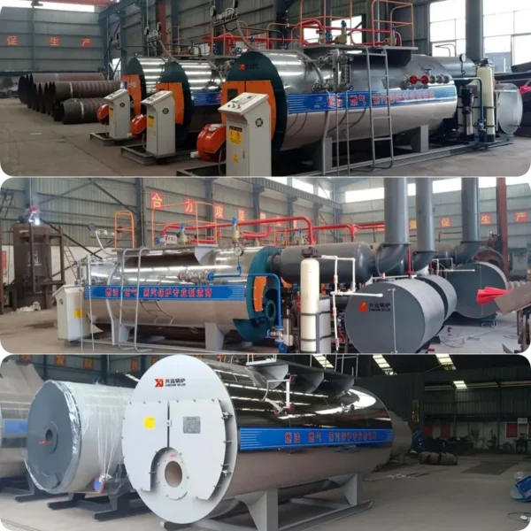 Steam Boiler, WNS, 1-20 - view 4