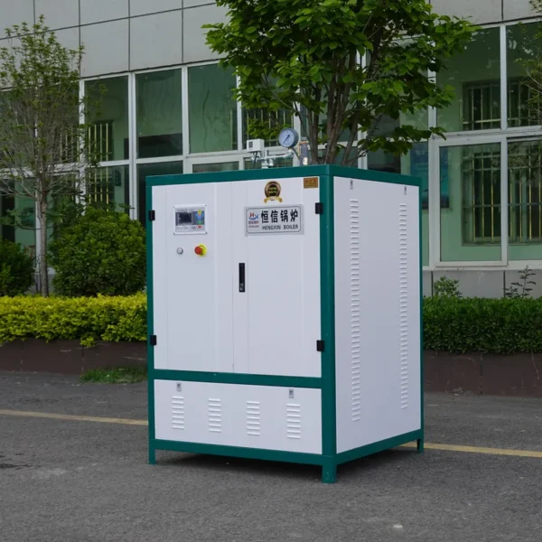 Steam Generator, 100, ZFQ - view 4