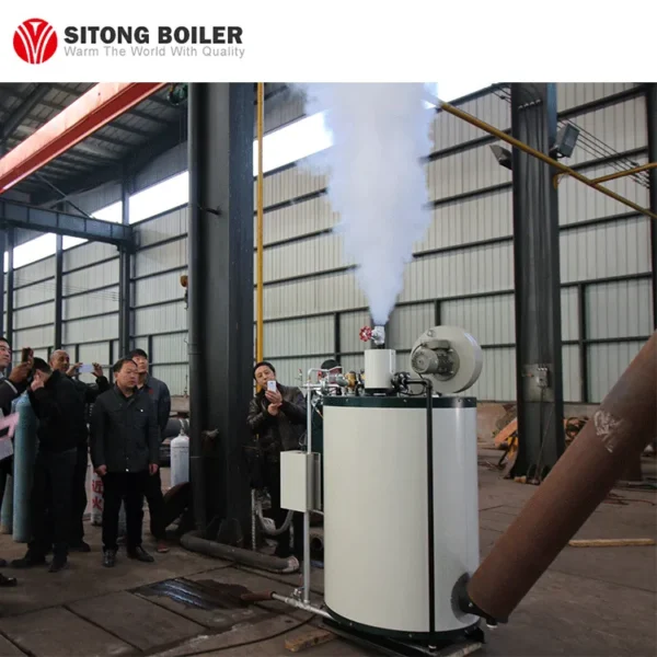 Steam Generator, 200-3000kg/hr, Natural Circulation - view 2