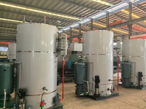 Steam Generator, LHG, 0.1-2T, Carbon Steel - view 2