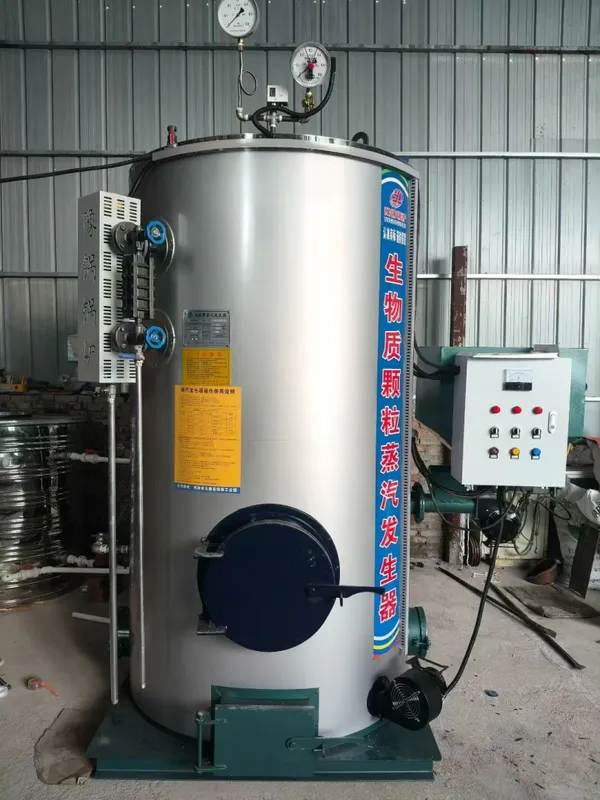 Steam Generator, LHG, 0.1-2T, Carbon Steel - view 3
