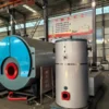 Steam Generator, LHG, 0.1-2T, Carbon Steel - view 4