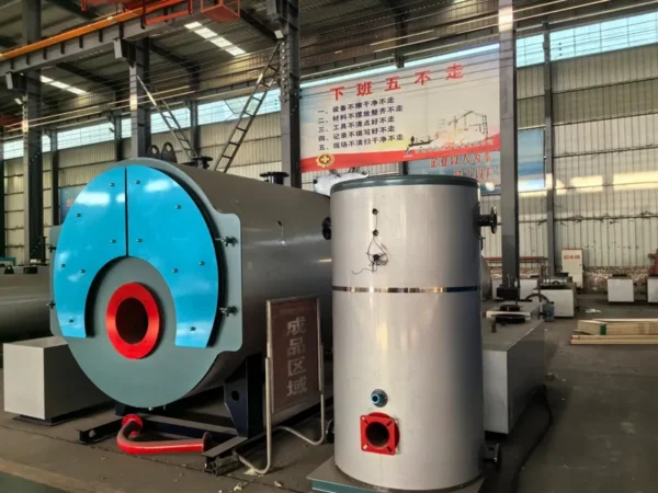 Steam Generator, LHG, 0.1-2T, Carbon Steel - view 4