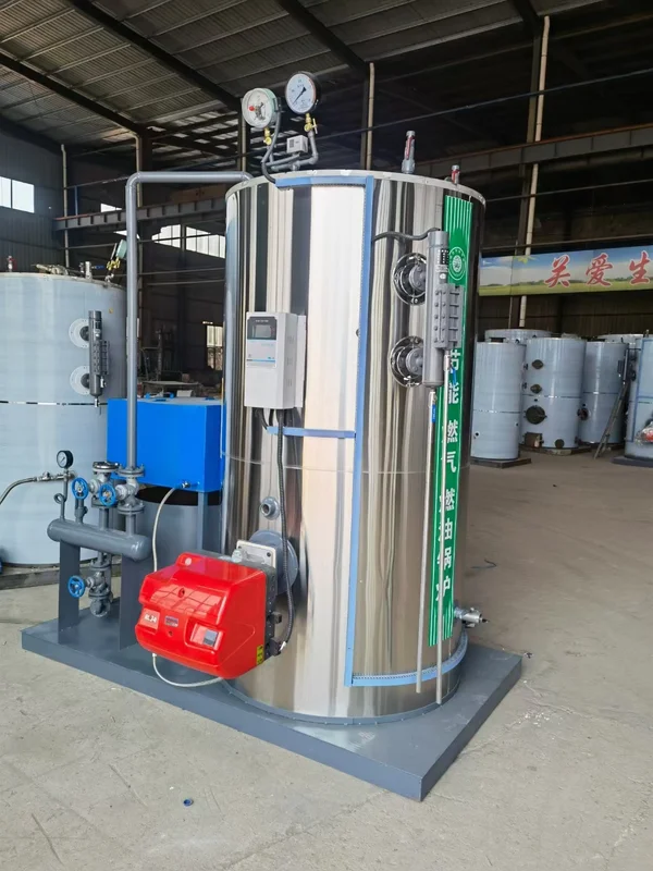 Steam Generator, LZF, Natural Circulation - view 5