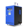Steam Generator, NOBETH, 108-720KW - view 2