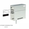Steam Generator, Non, Stainless Steel - view 4