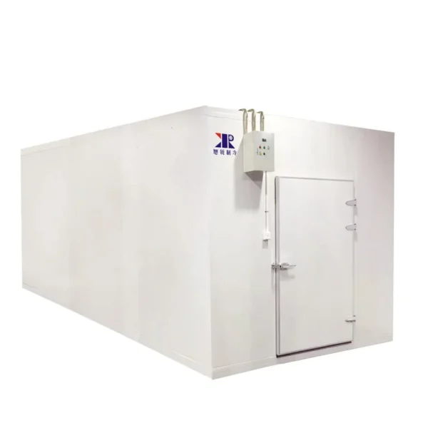 Storage Cold Room Freezer, 20ft, 380v 440v, R-22 R-404A R-134A