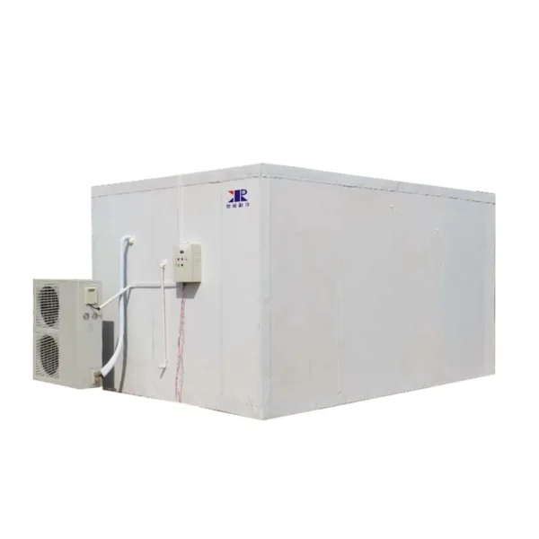 Storage Cold Room Freezer, 20ft, 380v 440v, R-22 R-404A R-134A - view 4