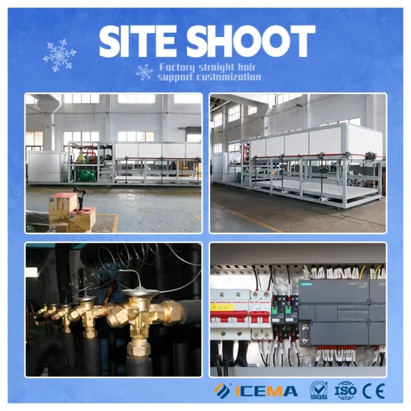 Storage Compressor, ICEMA, 1T~20T/24H, 50kg - view 4