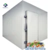 Storage Container Walk-in Freezer, 220V, R404A - view 2