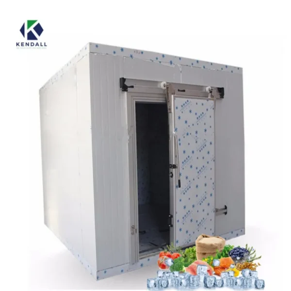 Storage Container Walk-in Freezer, 220V, R404A - view 4