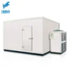 Storage Freezing Chamber Freezer, 220, R22