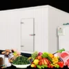 Storage Freezing Chamber Freezer, 220, R22 - view 2