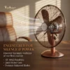 Table Fan, JUBER, 220V, Electric - view 2