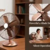 Table Fan, JUBER, 220V, Electric - view 4