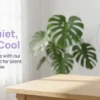 Table Fan, Portable, Electric, Plastic - view 3