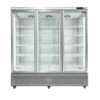 Temperature Food Showcase Freezer, 110V-240V
