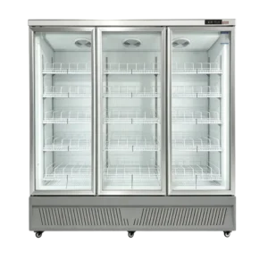 Temperature Food Showcase Freezer, 110V-240V