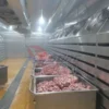 Thawing Equipment - view 4