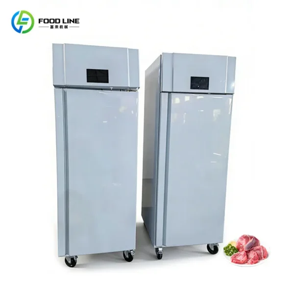 Thawing Equipment, 220 V, 304 Stainless Steel - view 3