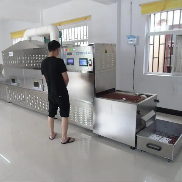 Thawing Equipment, 220 V, 60kg - view 3