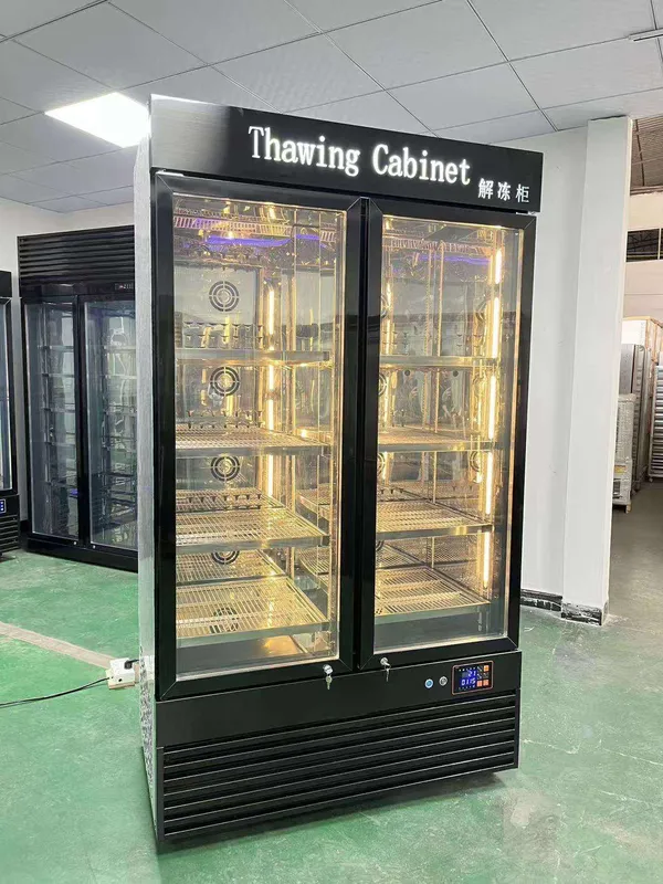 Thawing Equipment, 220 V, 680 - view 2