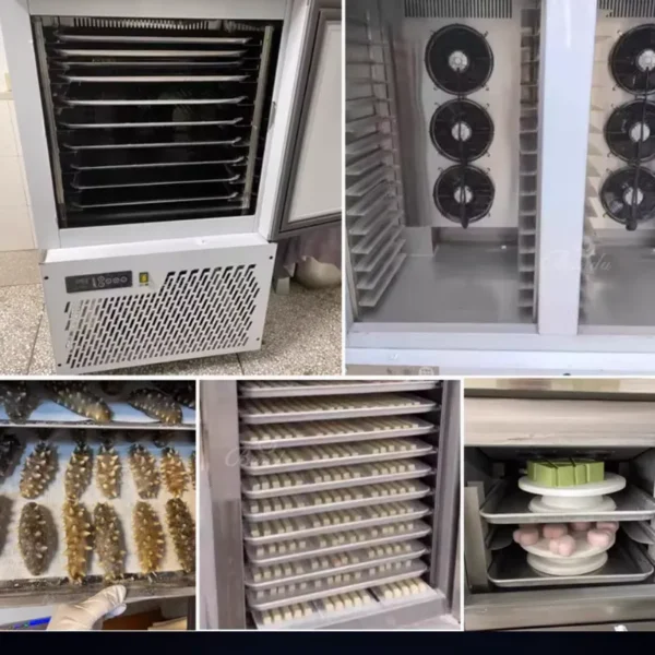 Thawing Equipment, 220 V, 680 - view 4