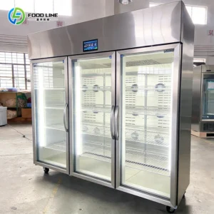Thawing Equipment, 220 V, Display Cooler