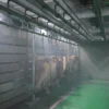 Thawing Equipment, 220v, 100~2000kg - view 4