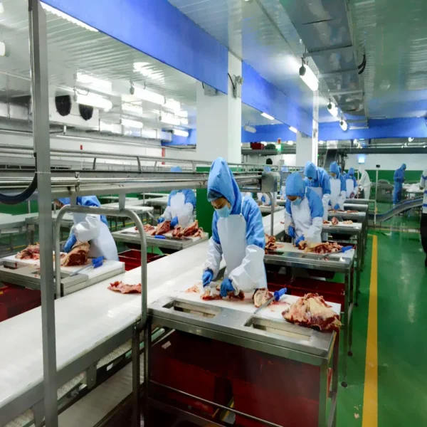Thawing Equipment, 220v, 100~2000kg - view 5