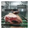 Thawing Equipment, 220V, 304 Stainless Steel