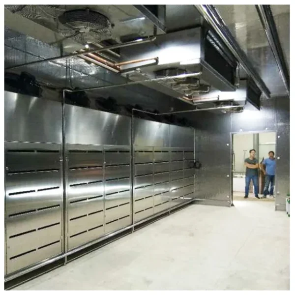 Thawing Equipment, 220V, 304 Stainless Steel - view 5