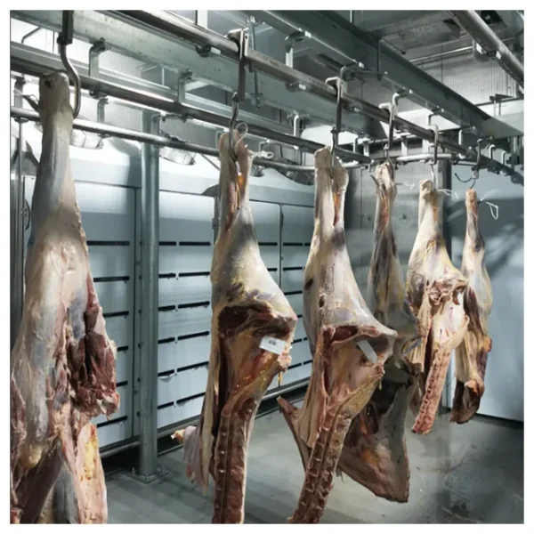 Thawing Equipment, 220V, 304 Stainless Steel - view 6