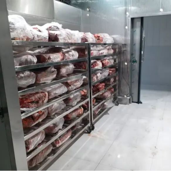 Thawing Equipment, 220V, 500 to 3000 kg - view 4