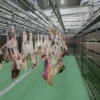 Thawing Equipment, 220V, 500 to 3000 kg - view 5