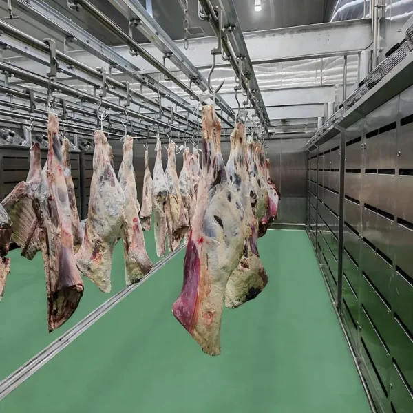 Thawing Equipment, 220V, 500 to 3000 kg - view 5