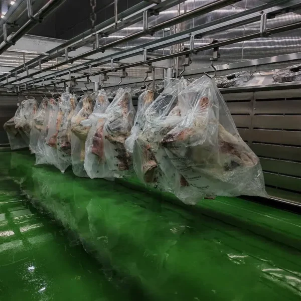 Thawing Equipment, 220V, 500 to 3000 kg - view 6
