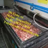 Thawing Equipment, 220V, 60kg - view 4