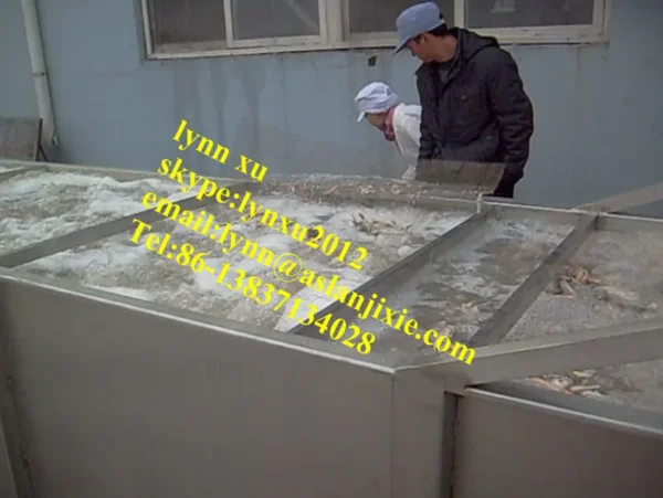Thawing Equipment, 220V, 60kg - view 6