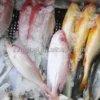 Thawing Equipment, 50-500kg - view 2