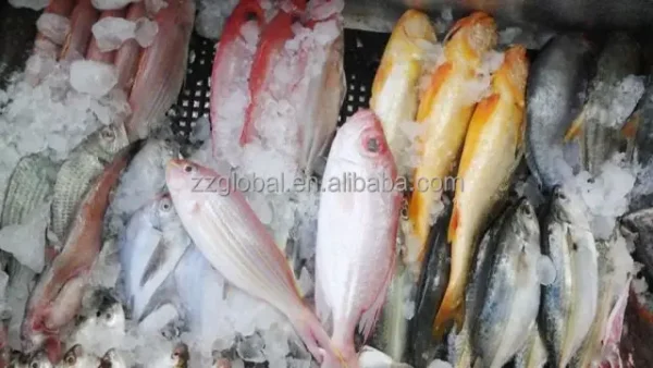 Thawing Equipment, 50-500kg - view 2