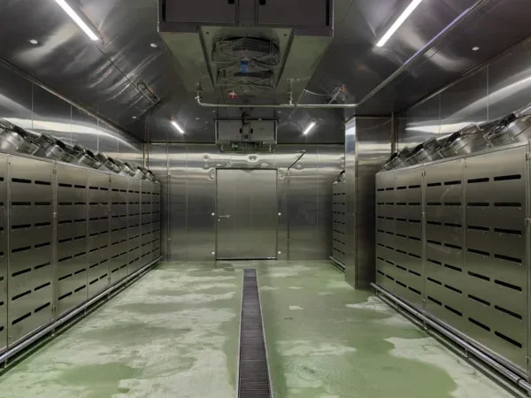 Thawing Equipment, Local, 304 Stainless Steel